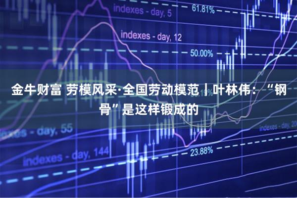 金牛财富 劳模风采·全国劳动模范｜叶林伟：“钢骨”是这样锻成的