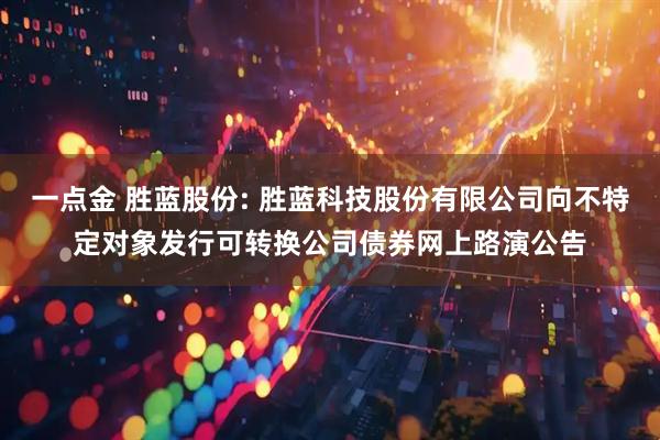 一点金 胜蓝股份: 胜蓝科技股份有限公司向不特定对象发行可转换公司债券网上路演公告