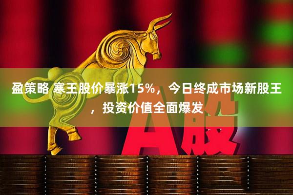 盈策略 寒王股价暴涨15%,今日终成市场新股王,投资价值全面爆发